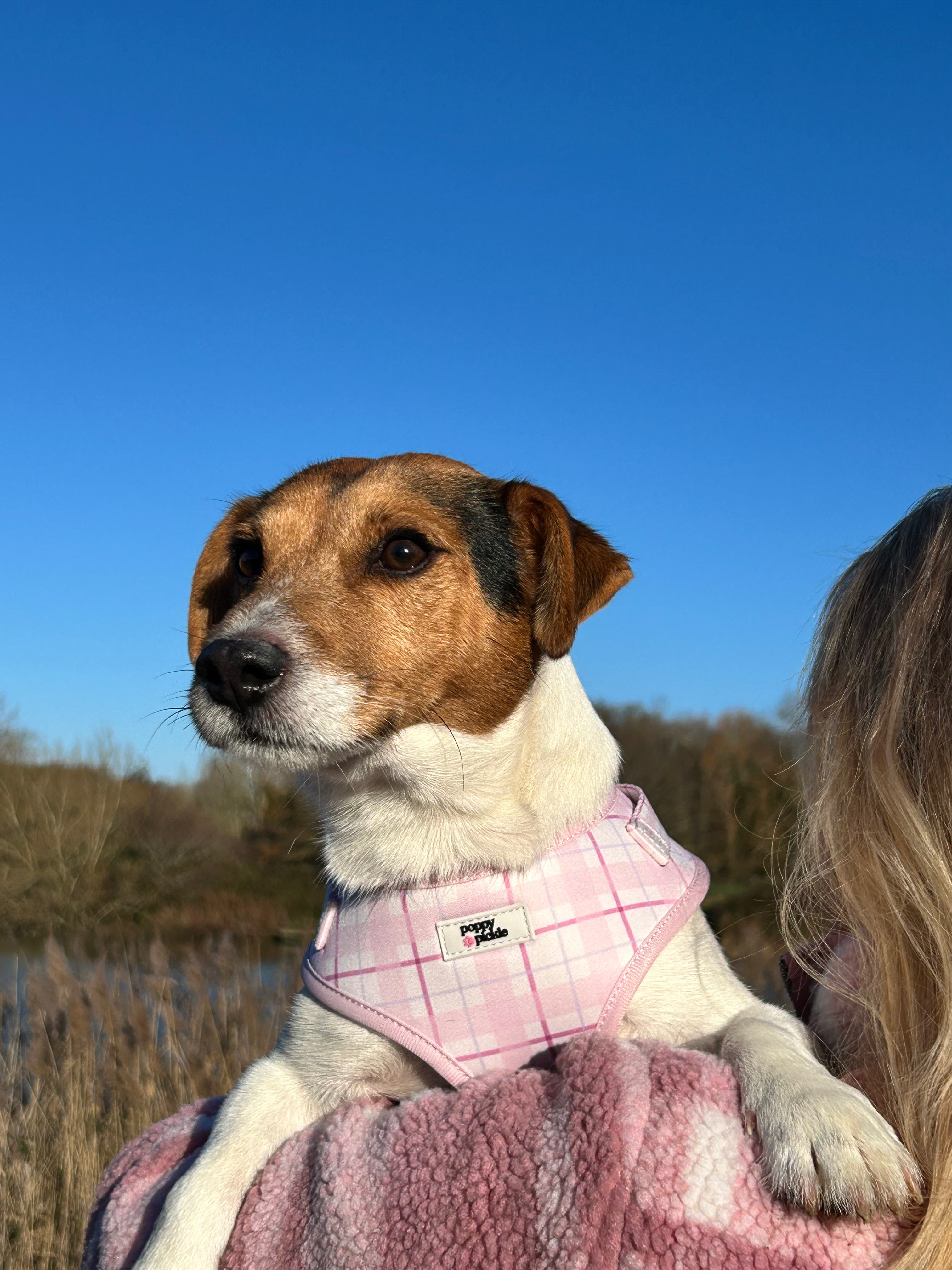 Ottilie Harness - Pink