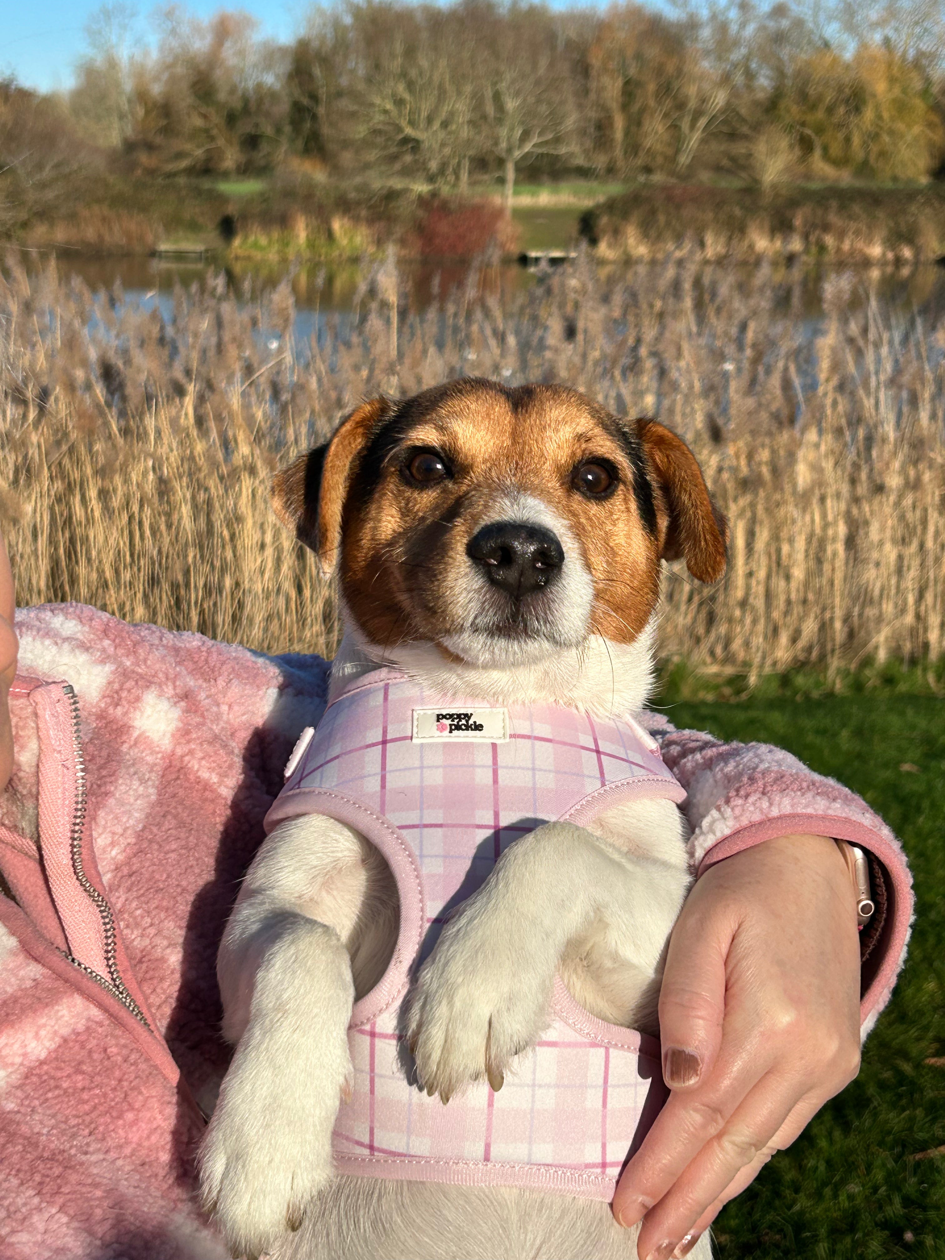 Ottilie Harness - Pink