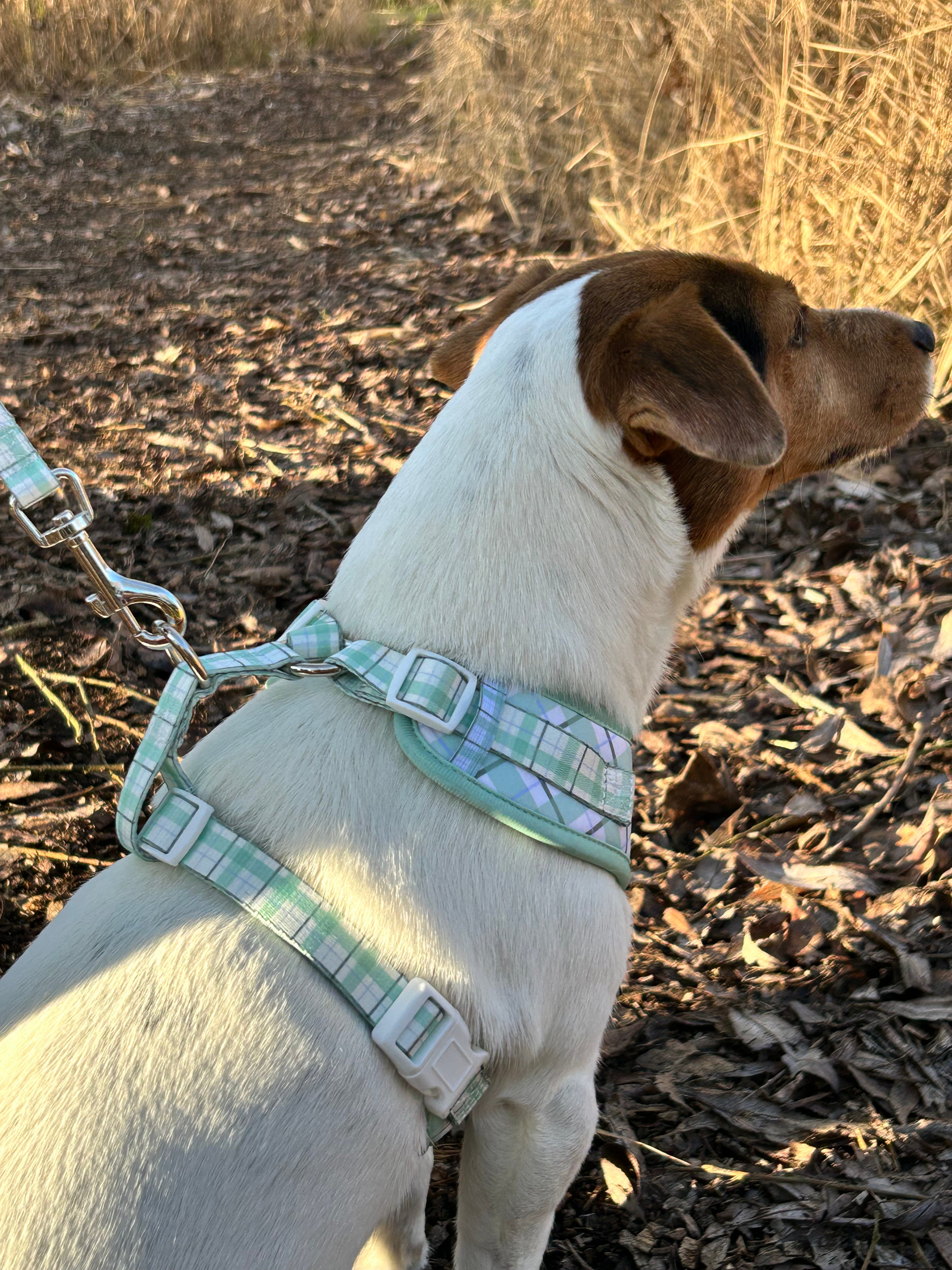 Ottilie Harness - Green