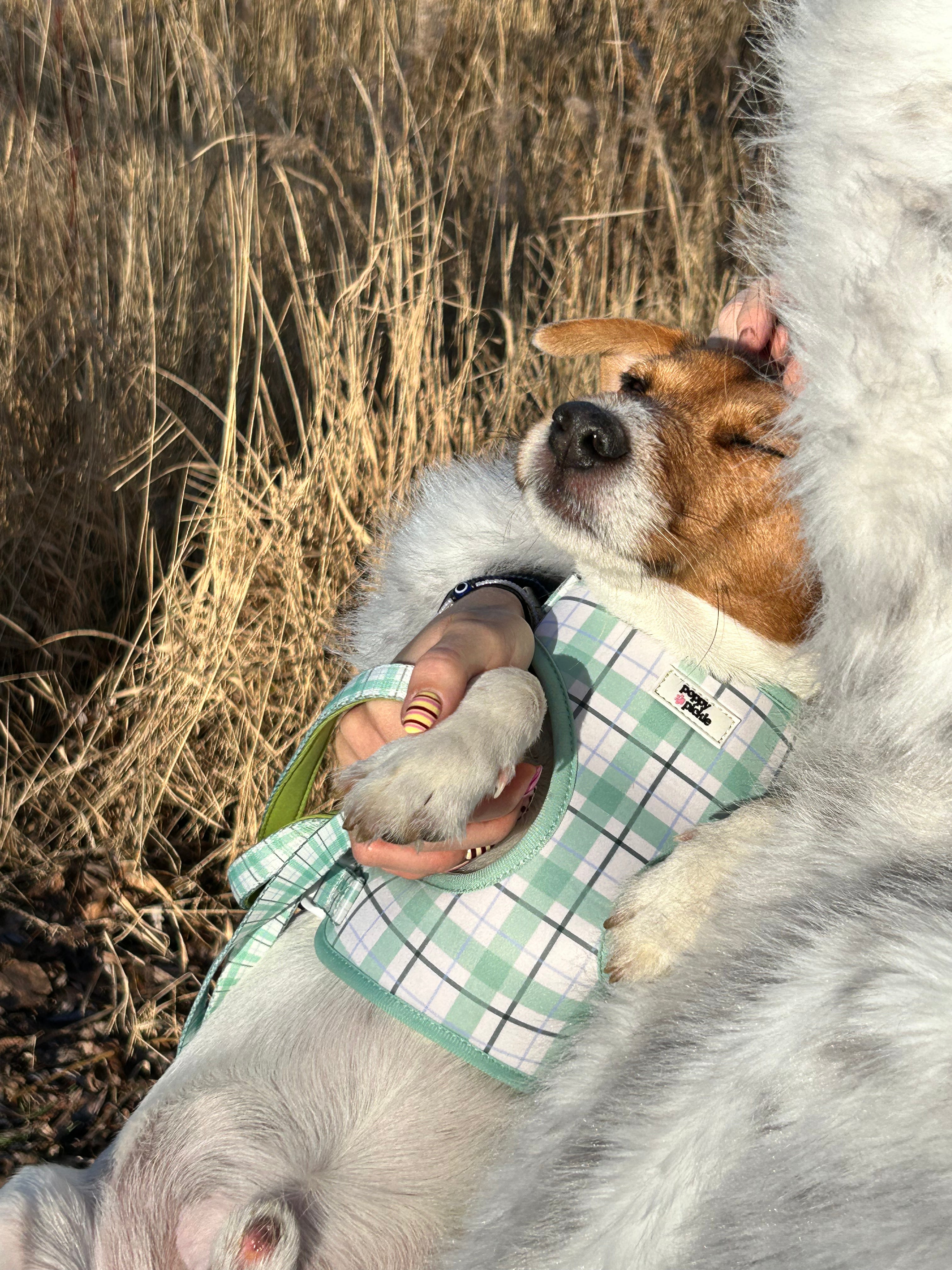 Ottilie Harness - Green