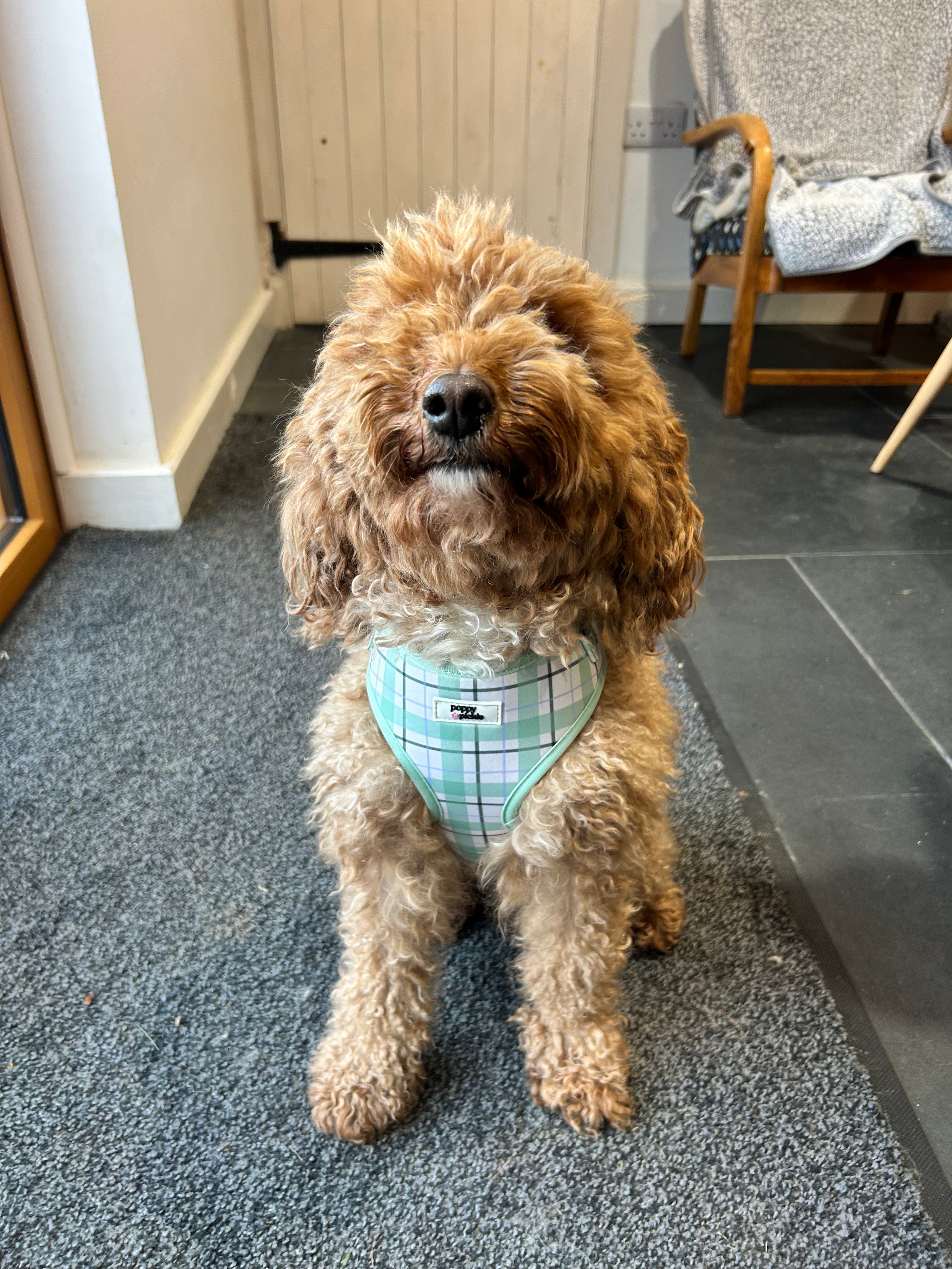 Ottilie Harness - Green