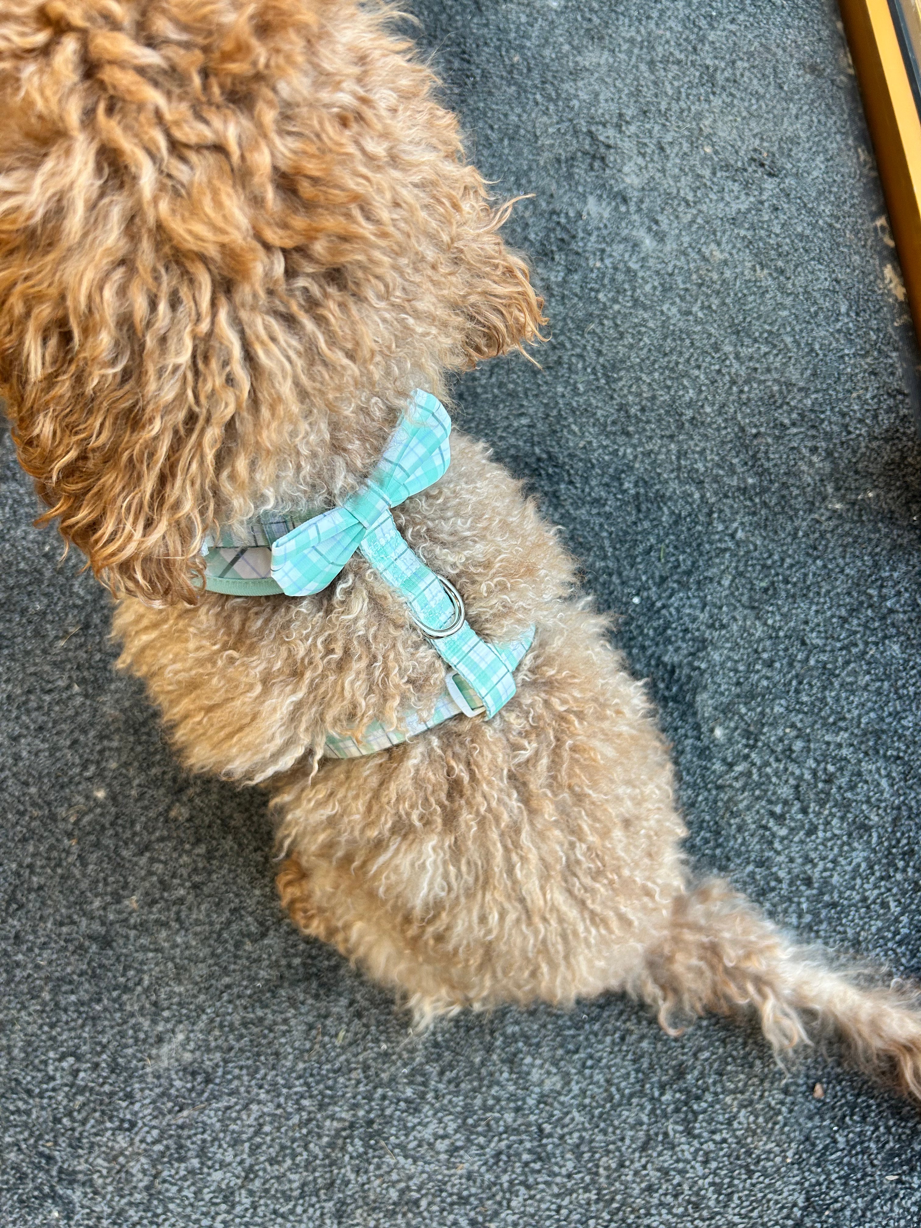 Ottilie Harness - Green